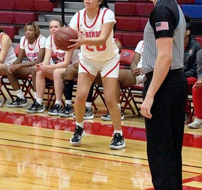 Sand Devil alumna playing wing for Mesa