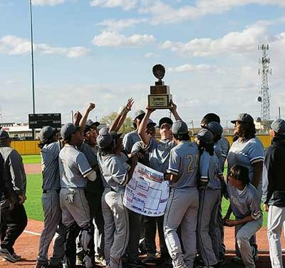 Wildcats capture region tournament
