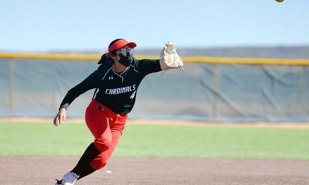 St. Michael looks to build momentum in state playoffs