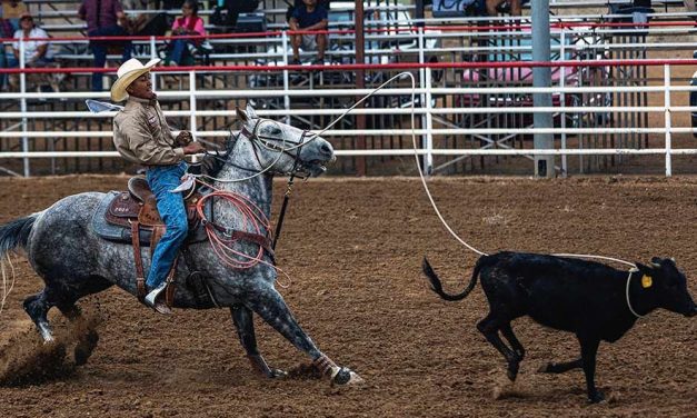 Segay becomes Ariz.’s top qualifier for nationals