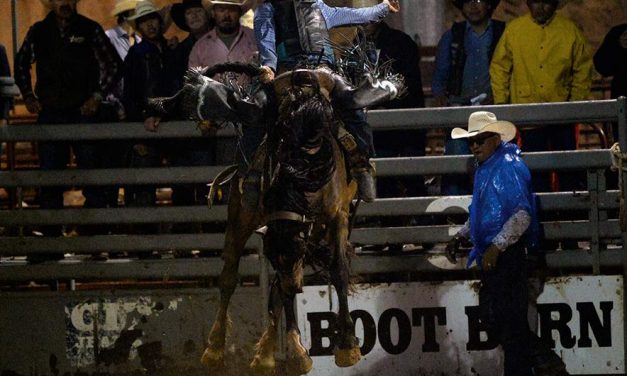 Magdalena bronc rider wins ‘hometown rodeo’