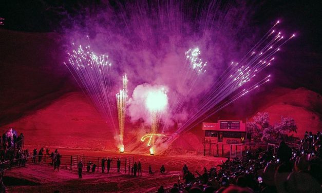 Expect a great show at Wild Thing bull-riding