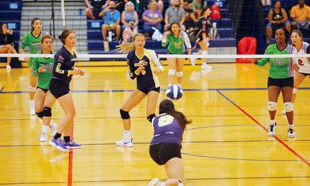 Diné helps win volleyball tourney in Hawaii