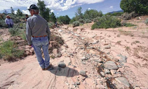 Elder questions Red Valley oil spill cleanup effort