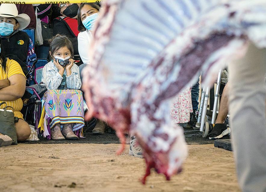 Miss Navajo sheep butchering kicks off 74th fair