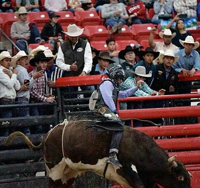 Chinle cowboy wins INFR crown in his debut