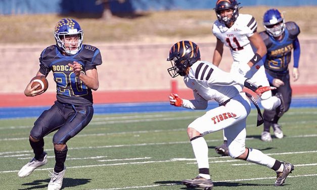 Best birthday gift!  Bobcats win state playoff game for coach