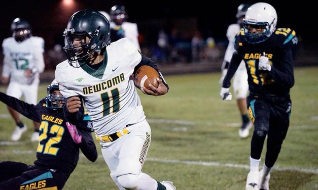 Newcomb takes district, heads into playoff with momentum