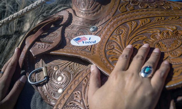 Voting Matters