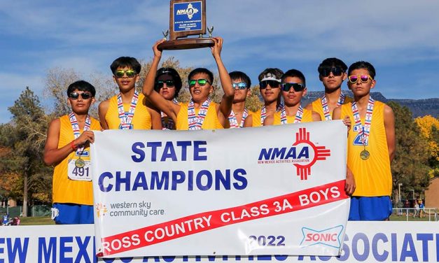 Ganado, Navajo Prep harriers tabbed ROY