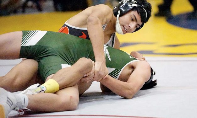 MV wrestling team loaded with experience