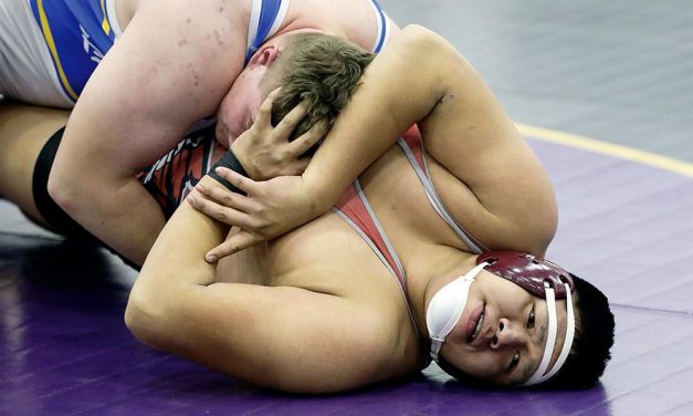 Bloomfield grapplers overtake Aztec at region meet