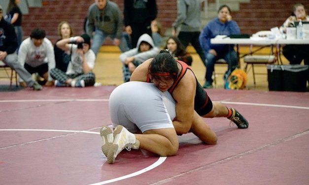 AIA Division IV, Section II wrestling: Page edges MV for second