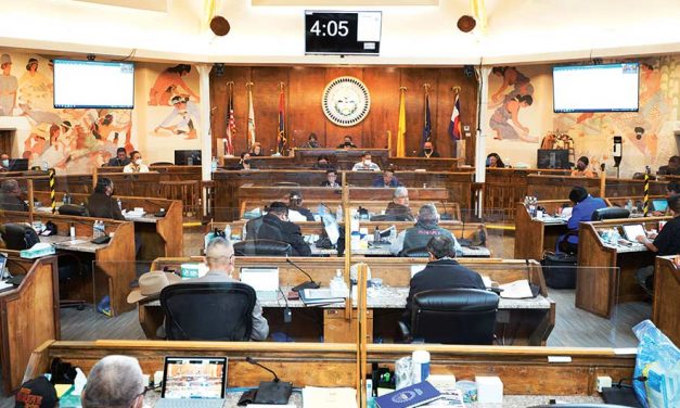 Full steam ahead for freshmen Council