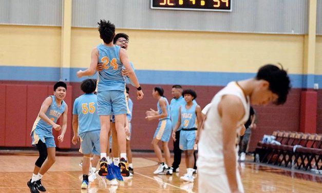 Rehoboth boys come up short in district title game
