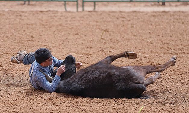 Crownpoint siblings having a productive spring rodeo season