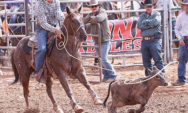 Consistency paying off for local team ropers