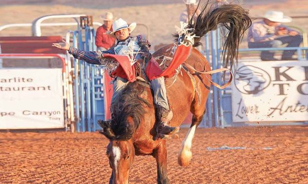Weekend Warrior: Round Rock cowboy stays active in rodeo scene