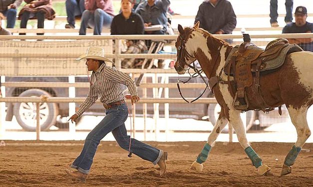 AJHSRA: Fort Defiance cowgirl wins state title