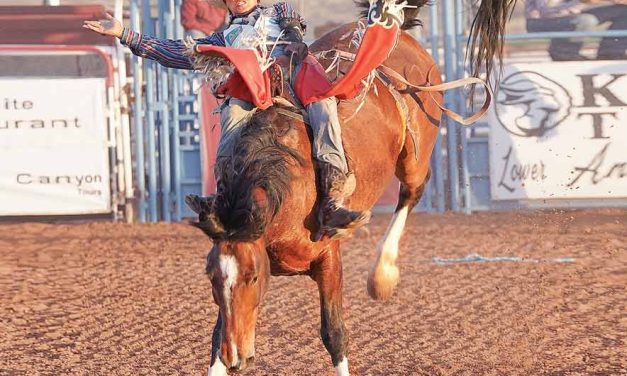680 contestants entered at Navajo Ag Expo