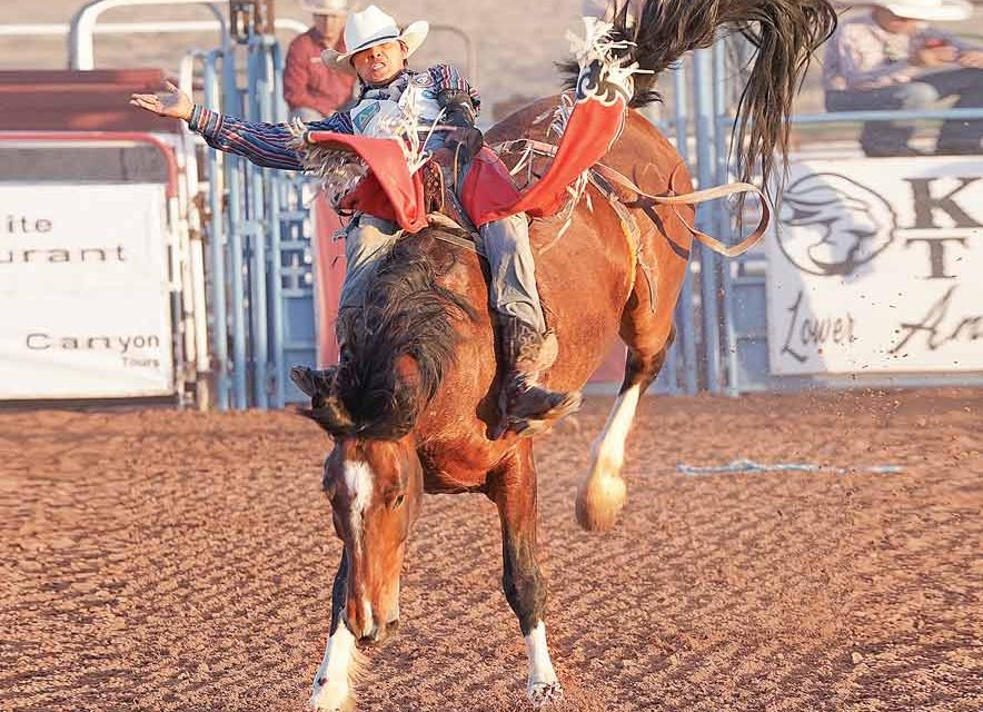 680 contestants entered at Navajo Ag Expo