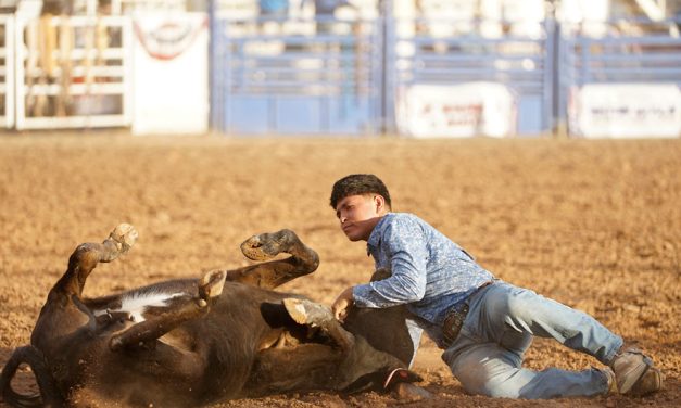 Seven area athletes vying for world title at high school finals rodeo