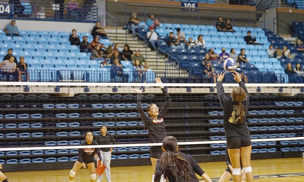 Lady Wildcats look to pick up where they left off last year