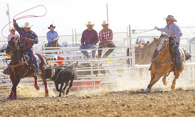 Just like the pros: Rogers, Tsinigine win Northern Navajo Fair open team roping