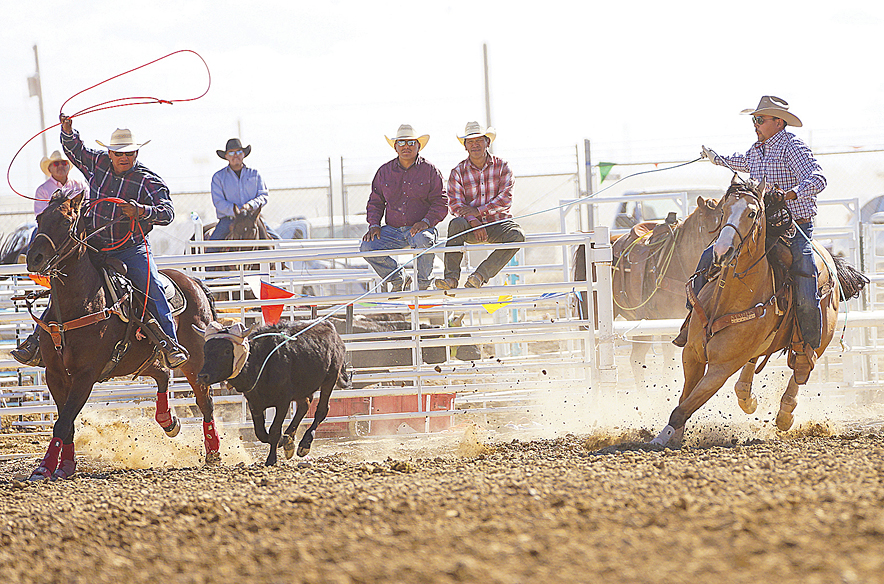 Just like the pros: Rogers, Tsinigine win Northern Navajo Fair open team roping