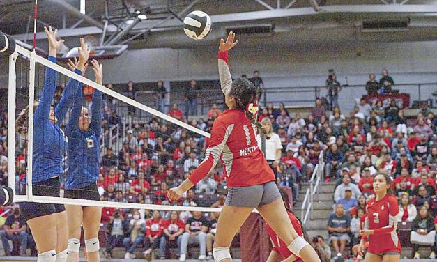 Lady Mustangs fall in state volleyball semis