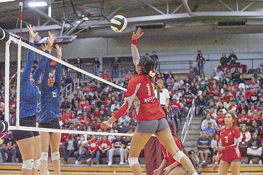 Lady Mustangs fall in state volleyball semis