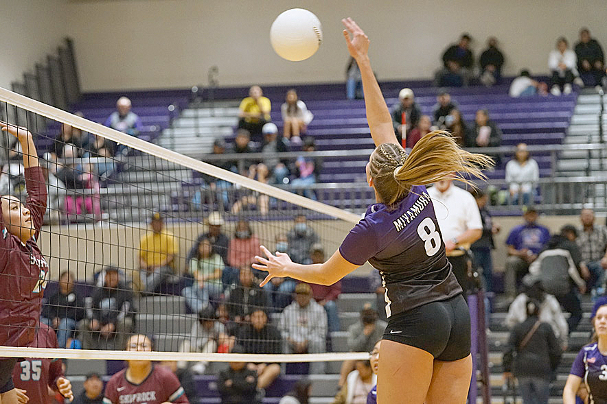 NMAA releases state volleyball brackets, Nine area squads earn bids
