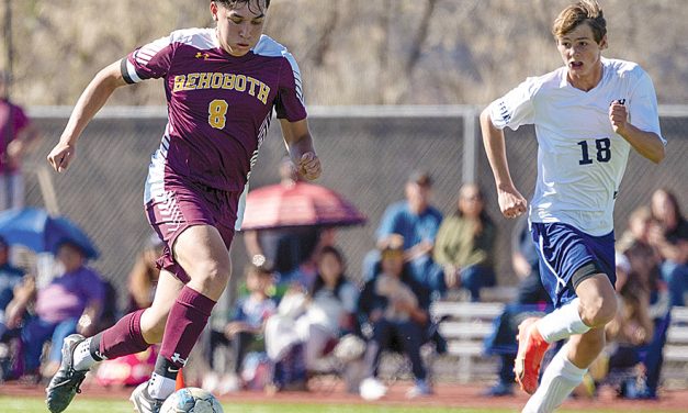 Aztec, Rehoboth Christian strikers lead soccer all-stars