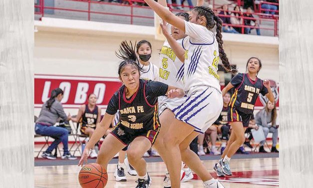 SENAI crowns tourney champs: MV Lady Cougars win large school division