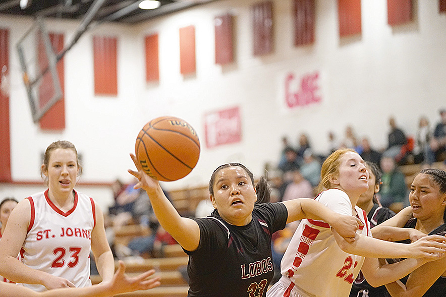 Many Farms girls earn state playoff bid