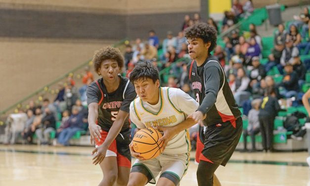 Defensive effort propels Newcomb boys to first-round win