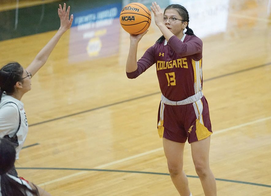 Rock Point, St. Michael girls earn bids to 1A state playoffs