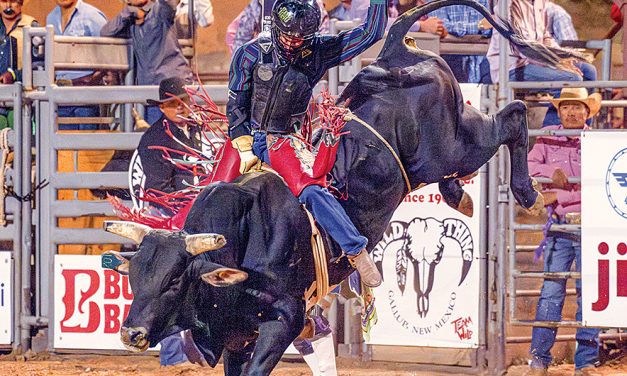 Odey Tom scores windfall with 91-point ride