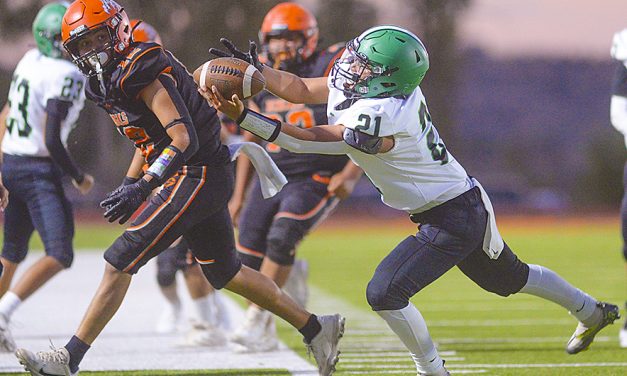 Skyhawks secure victory over Bengals