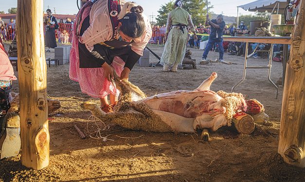 Four contestants to compete for<br>Miss Navajo Nation title