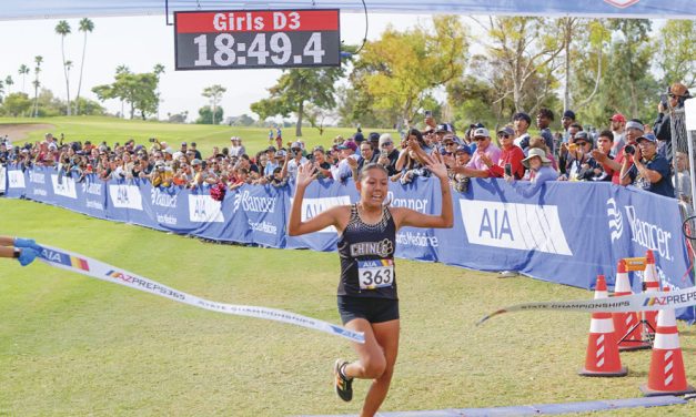 Page boys capture third straight state title: Chinle’s Janessa Segay wins individual crown