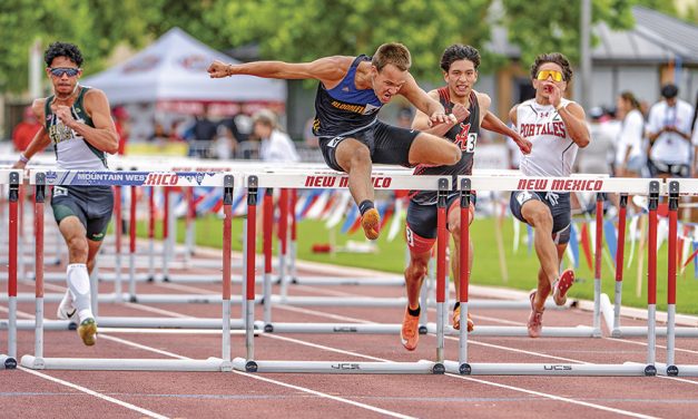 Bloomfield’s Andrew Himes completes impressive showing at 4A state meet