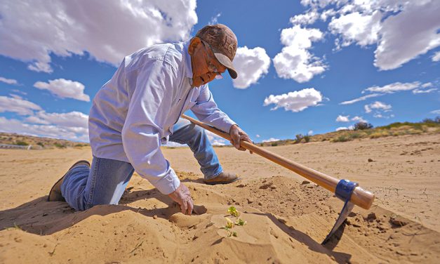 ‘The ground is tired’ Hopi farmer battles drought, wind, and time