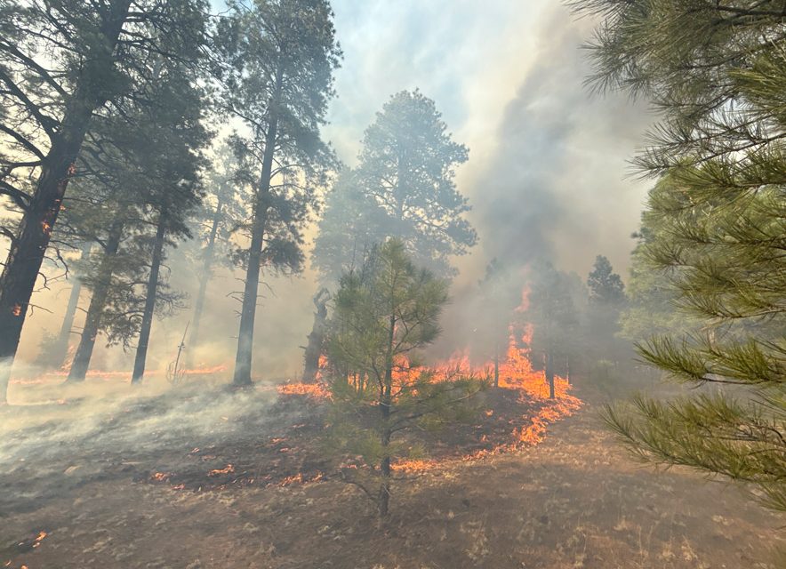 Oak Ridge Fire burns 200 acres near St. Michaels, evacuation center opens at senior center