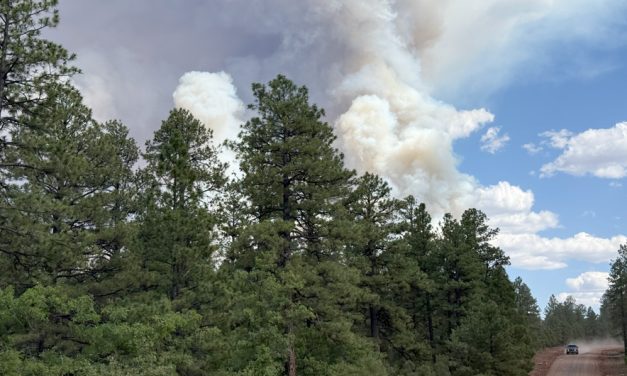 Oak Ridge Fire cancels Ahóóhai Days rodeo, postpones Cody Jesus Invitational