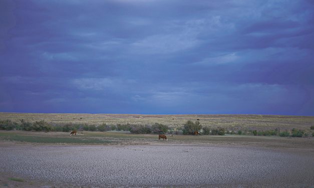 Empty dams, broken laws: Diné ranchers call for change