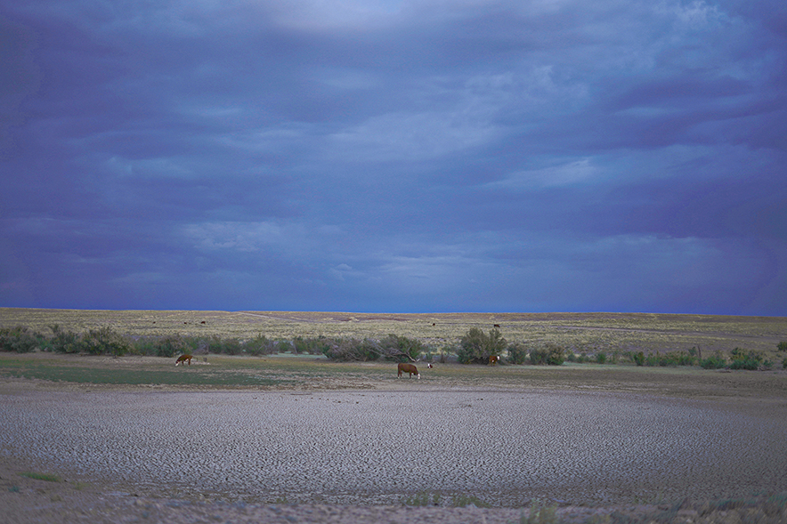 Empty dams, broken laws: Diné ranchers call for change