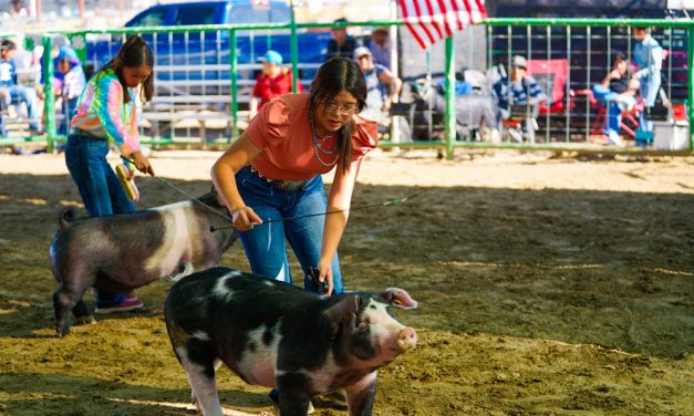Eastern Navajo Fair celebrates youth, elders at fair
