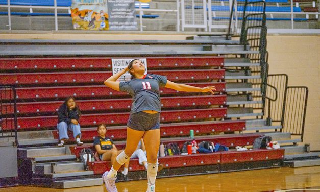 MV netters pound out 46 kills in three-set win over Ganado