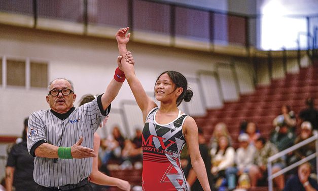 MV girls take third at sectional meet